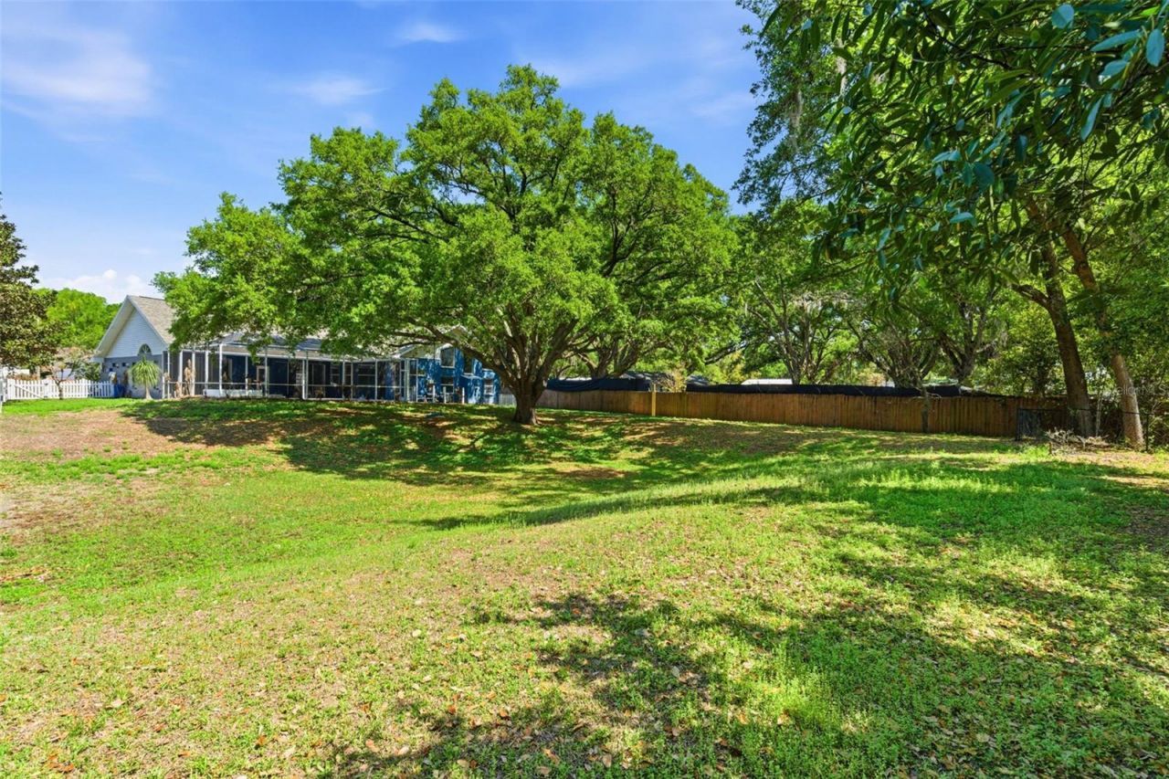 3042 Colonial Ridge Drive, Brandon, FL 33511 Photo