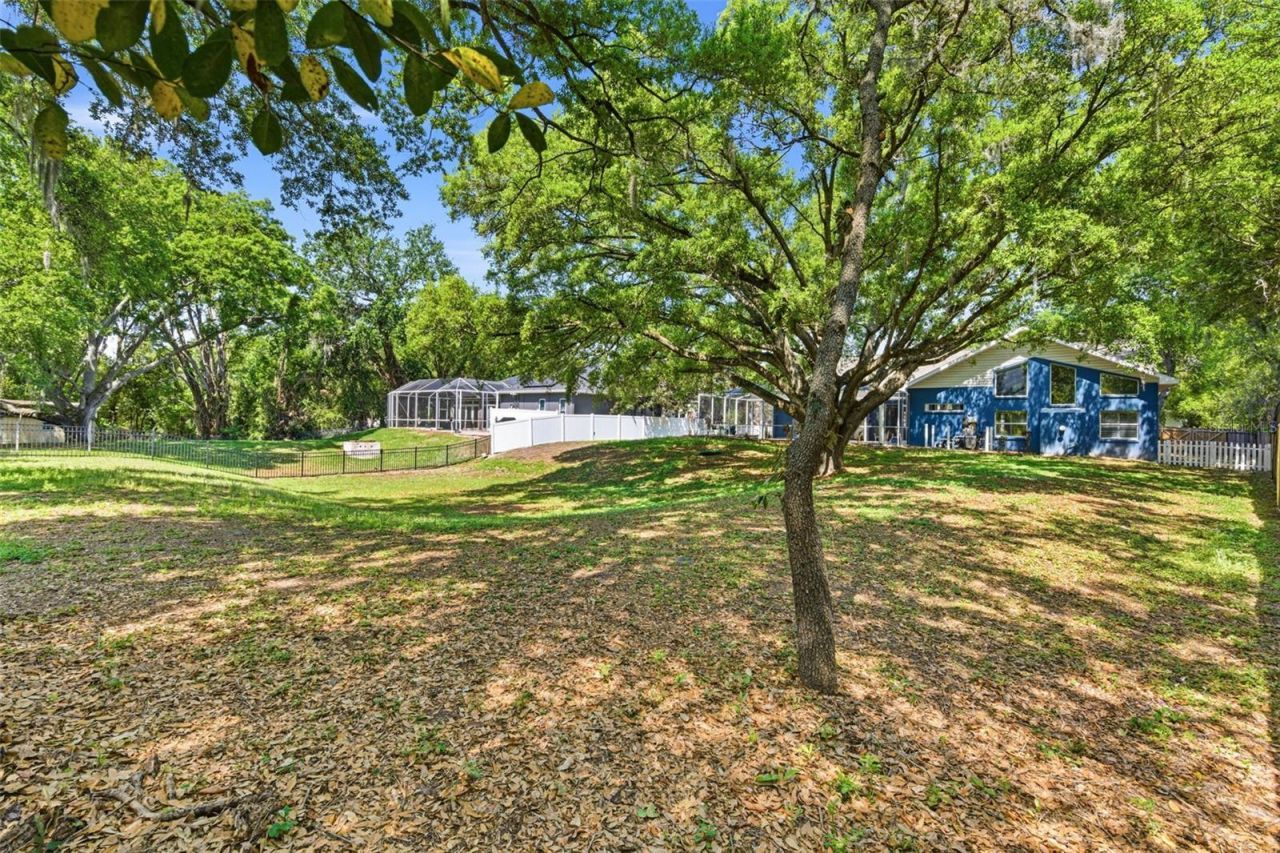 3042 Colonial Ridge Drive, Brandon, FL 33511 Photo