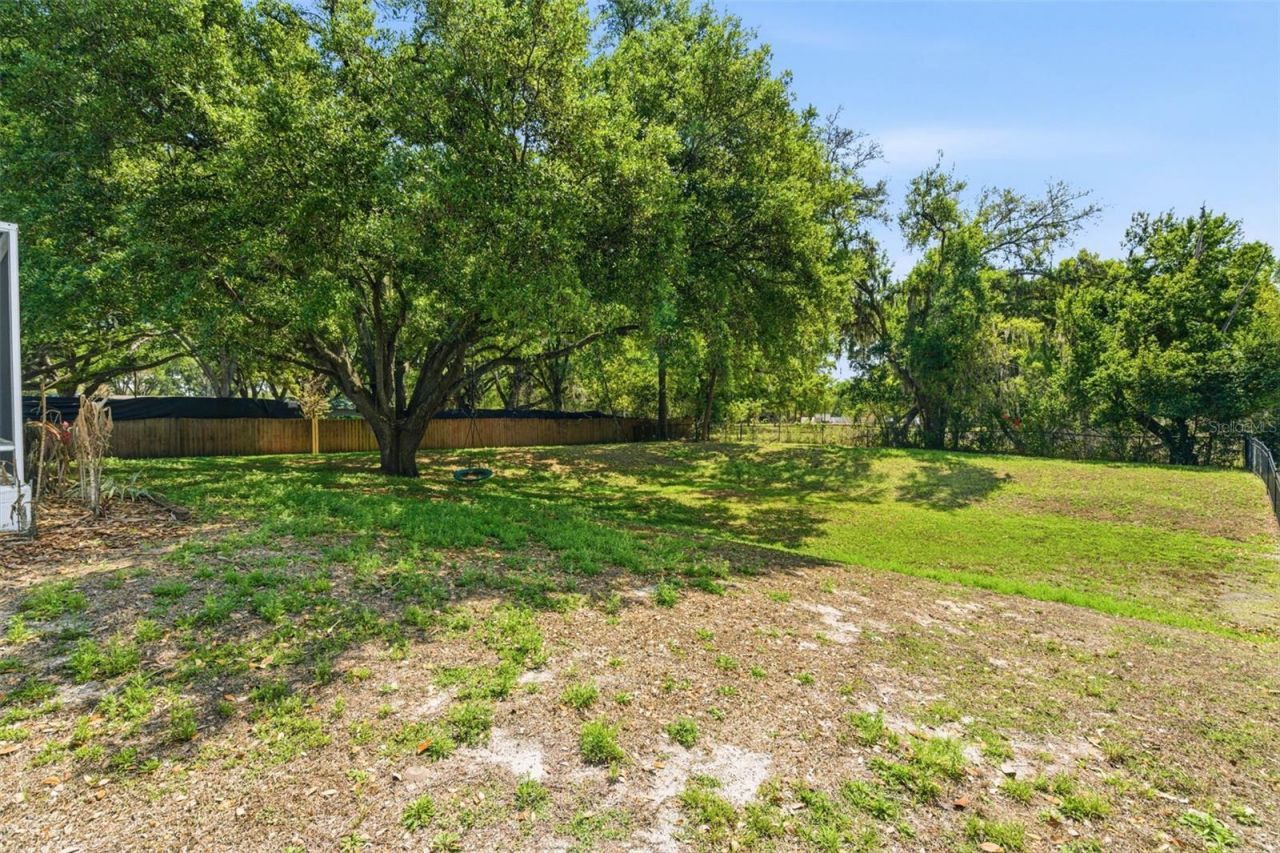 3042 Colonial Ridge Drive, Brandon, FL 33511 Photo