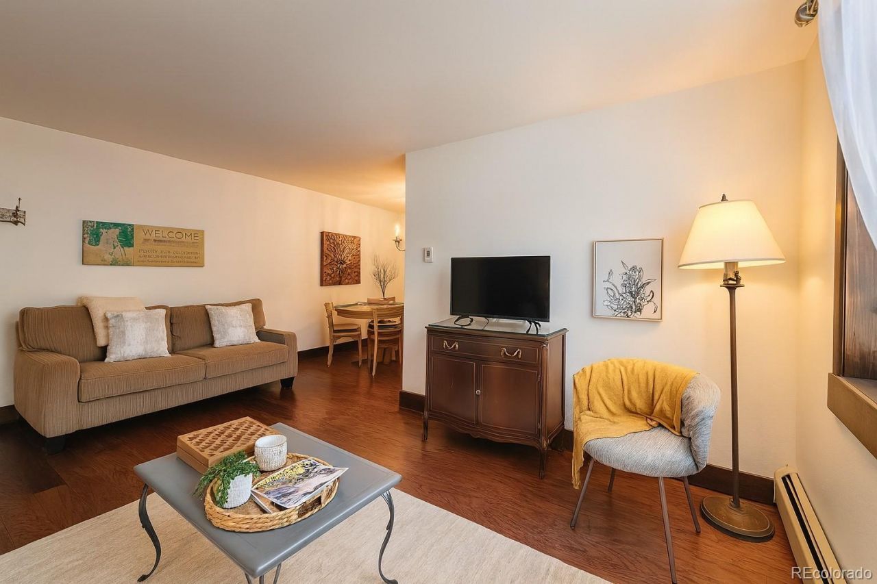 214 S Harris Street, Unit 101, Breckenridge, CO 80424 Main Photo