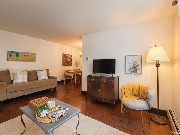 214 S Harris Street, Unit 101, Breckenridge, CO 80424