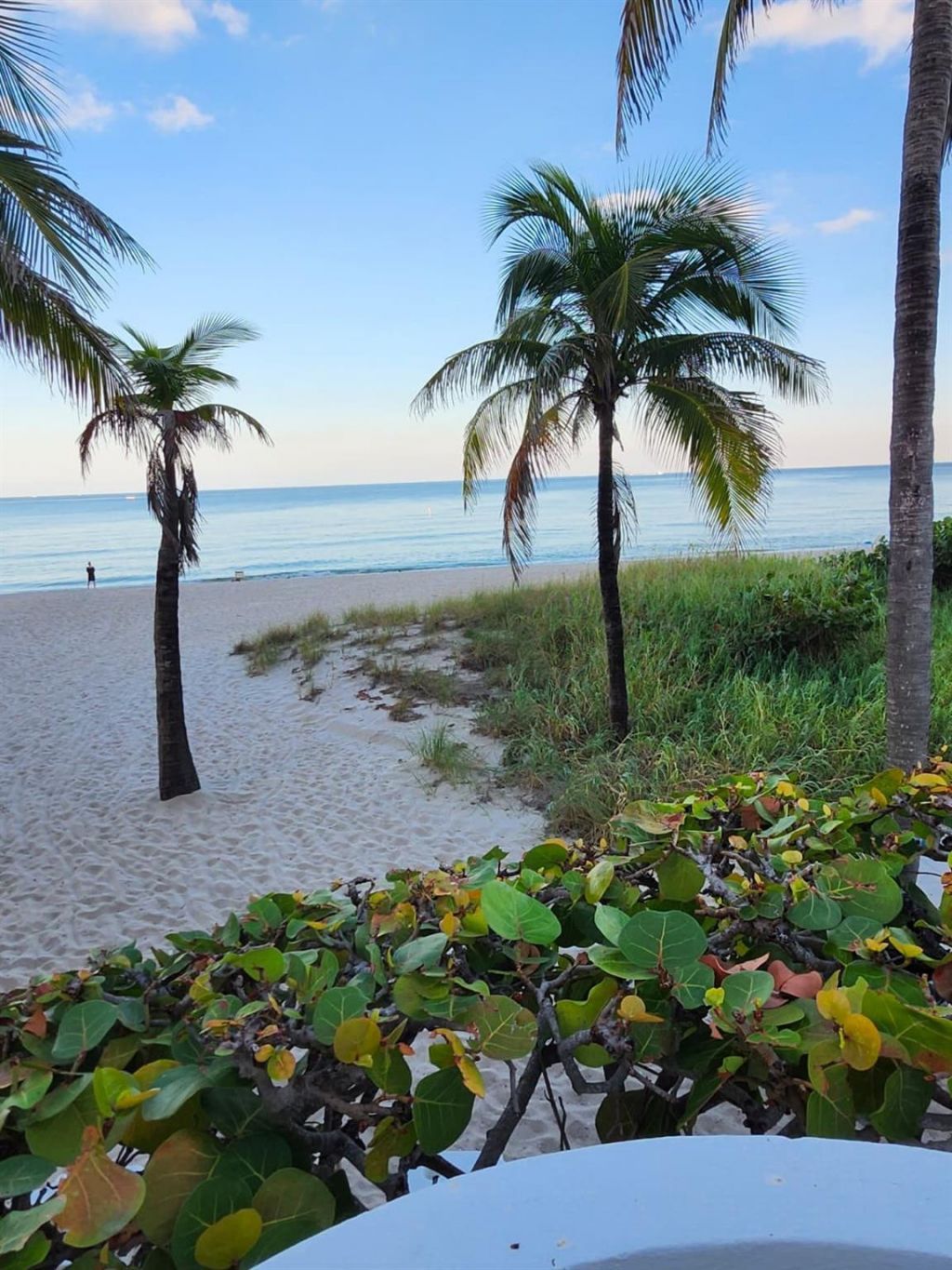 1370 S Ocean Boulevard, Unit 905, Pompano Beach, FL 33062 Photo