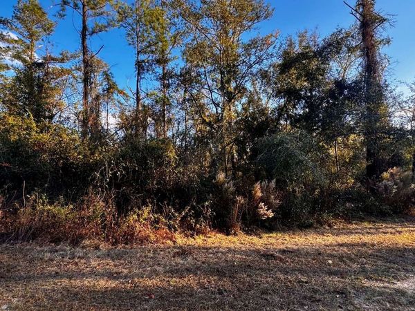 LOT38 NW 30TH PLACE, Jennings, FL 32053
