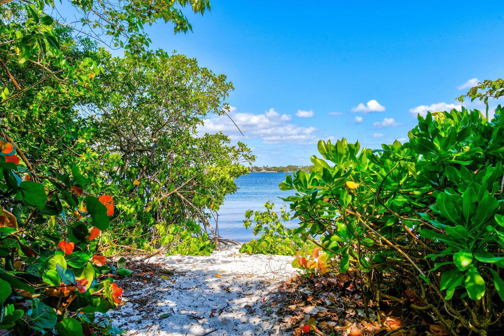 3440 S Ocean Boulevard, Unit 105s, Palm Beach, FL 33480 Photo