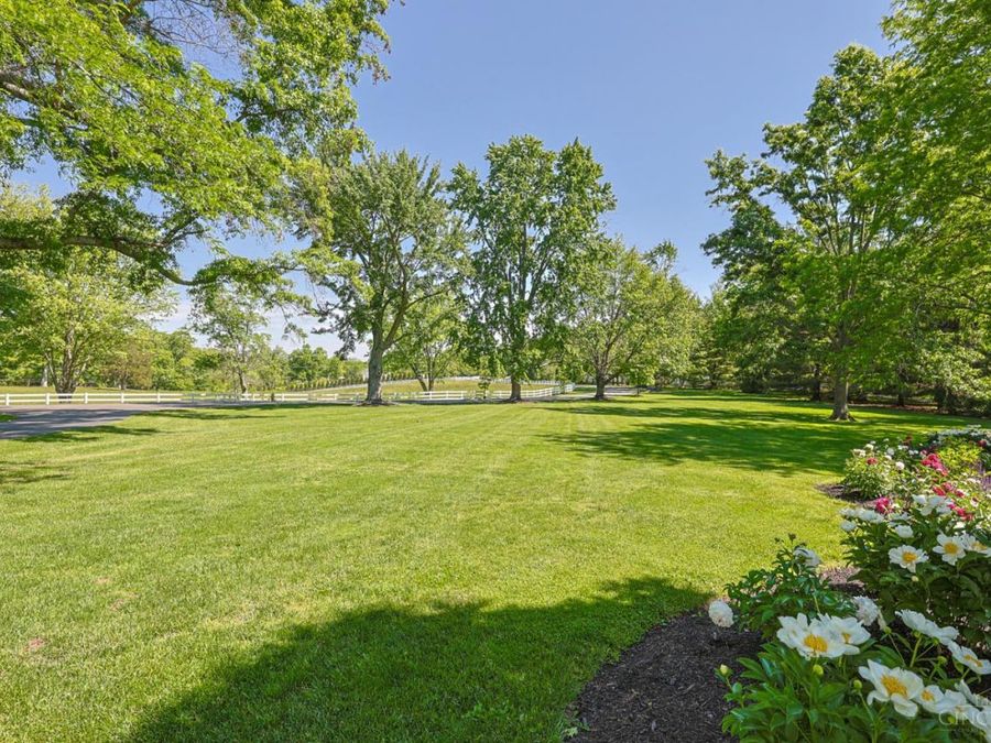 Property Image 80
