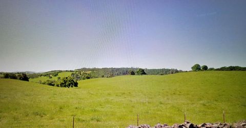 319 Laurel Dr, Jackson, CA 95642 Photo
