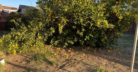 9870 Margaret Ct, Delhi, CA 95315 Photo