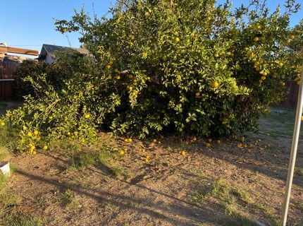 9870 Margaret Ct, Delhi, CA 95315 Photo