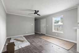 1533 Sand Dollar Ln.  photo 4