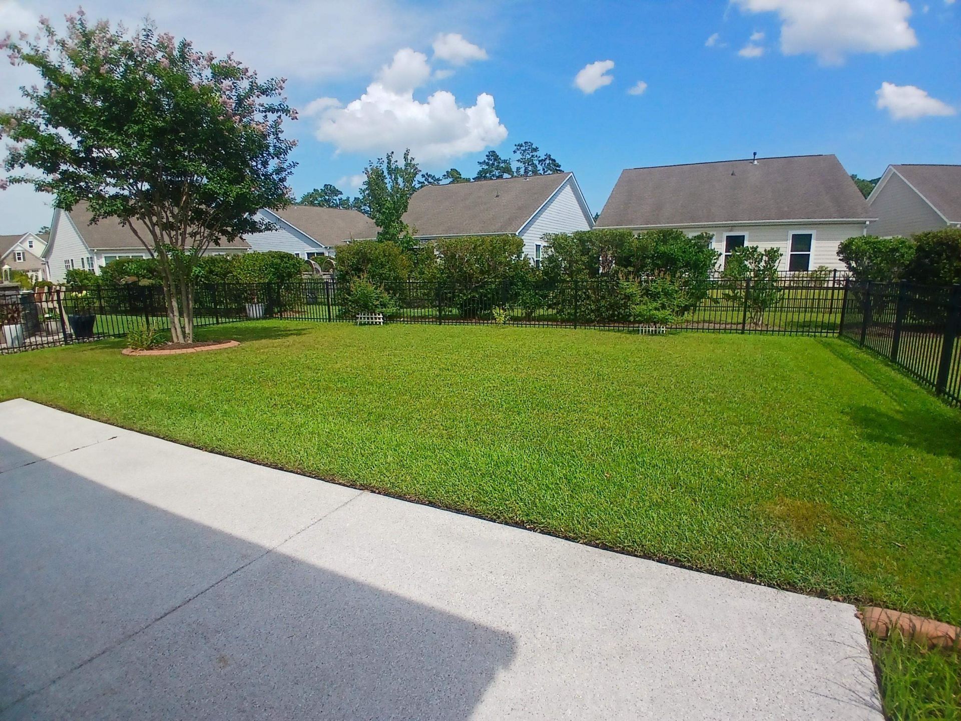 1709 Maplecress Way Photo 31