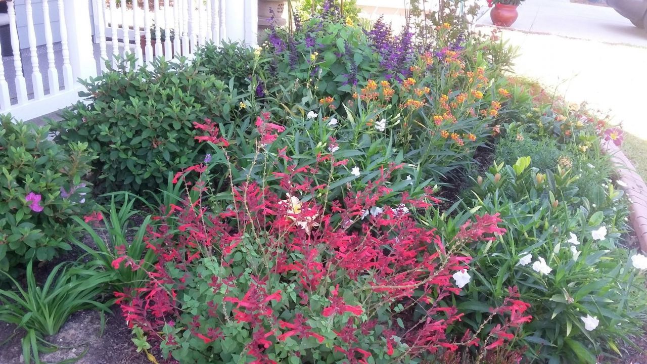 1709 Maplecress Way Photo 37