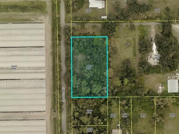 2131 Owanita RD , ALVA, FL 33920