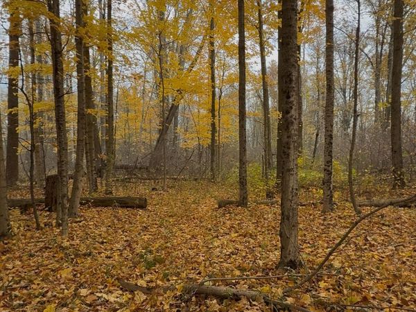 VL CR 653, Gobles, MI 49055