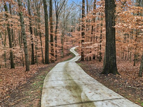 2986 Glover Drive, Cumming, GA 30040