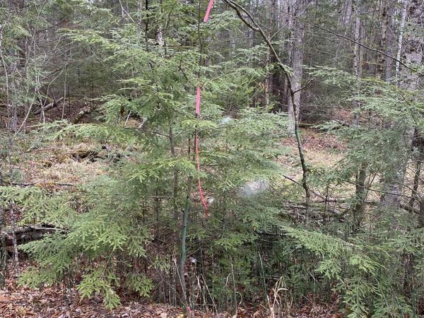 84 Vernon Avenue, Unit Also Lots # 103 and 104 o, Haverhill, NH 03765