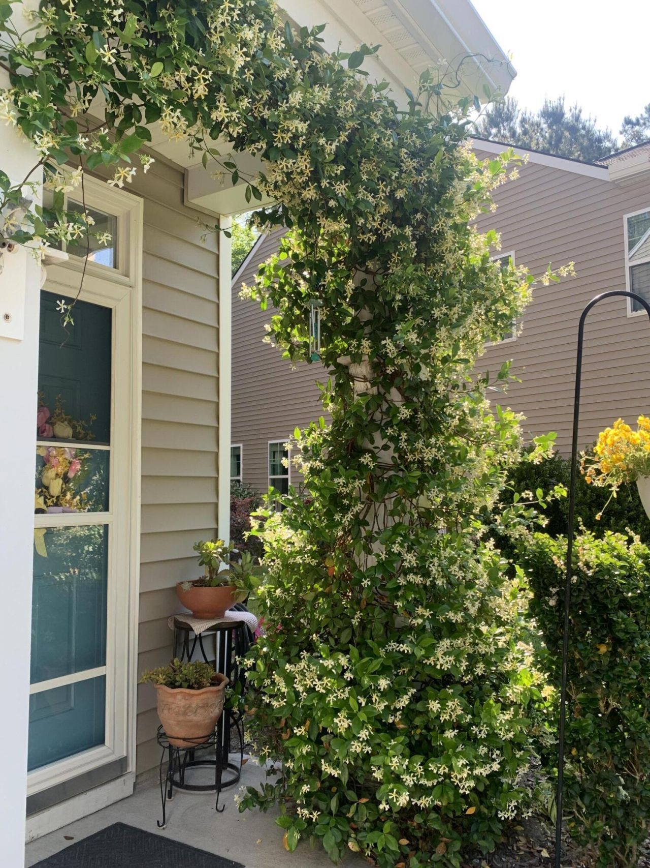 1636 Saint Johns Parrish Way Photo 13