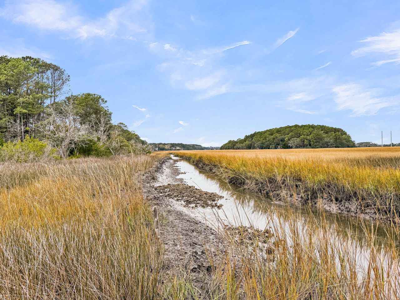 1636 Saint Johns Parrish Way Photo 33