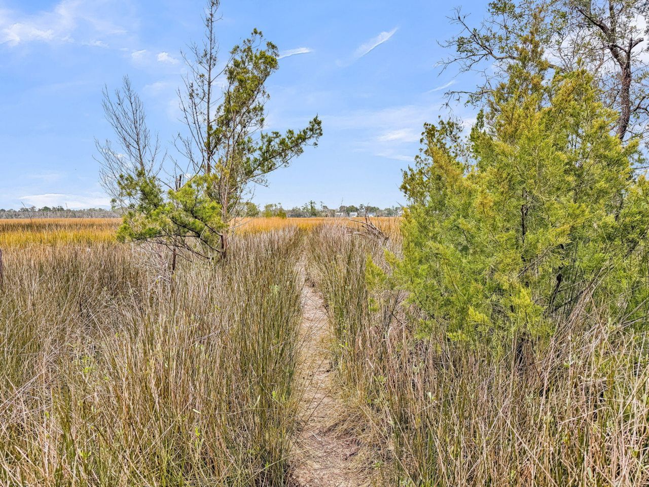 1636 Saint Johns Parrish Way Photo 34