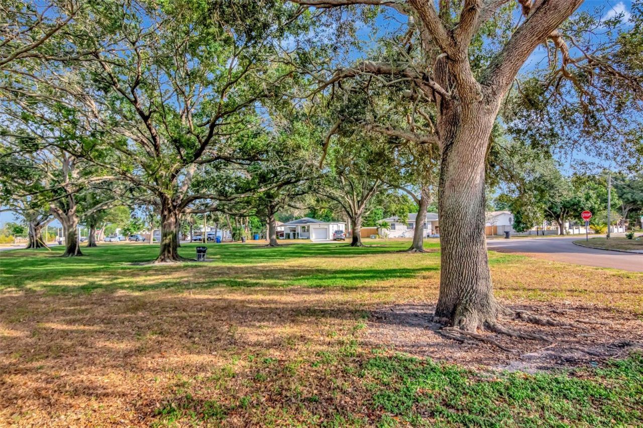 1230 32nd Street N, Saint Petersburg, FL 33713 Photo