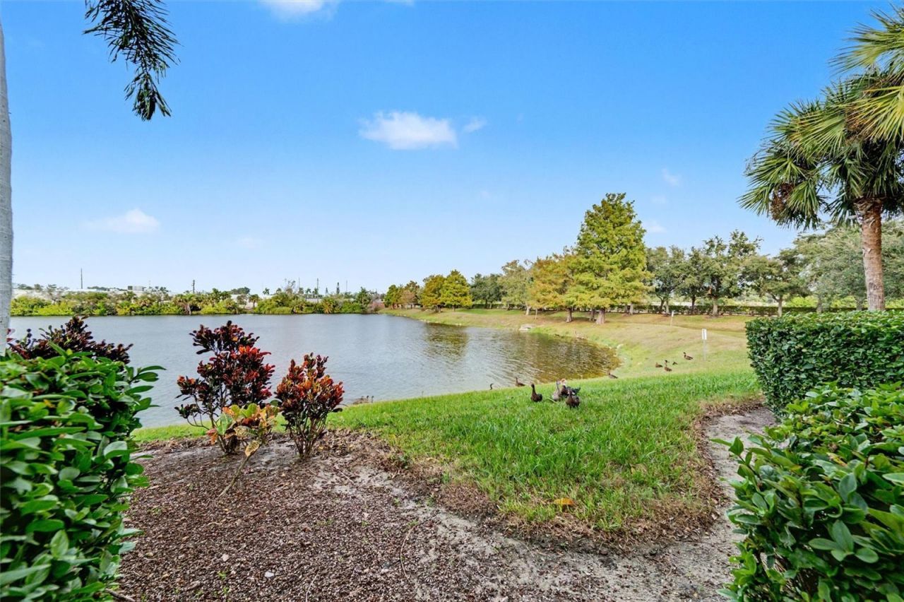 3505 45th Terrace W, Unit 105, Bradenton, FL 34210 Photo