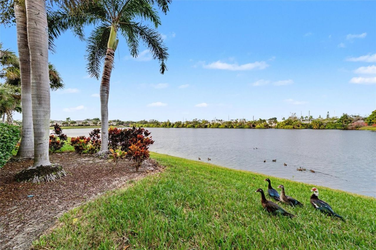 3505 45th Terrace W, Unit 105, Bradenton, FL 34210 Photo