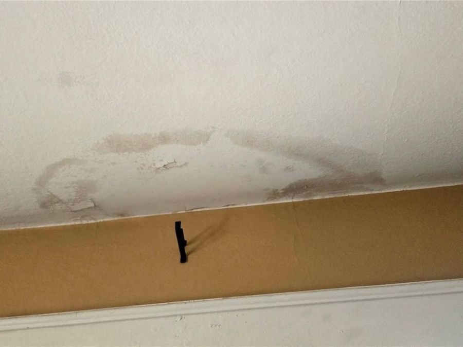 Property Image 66