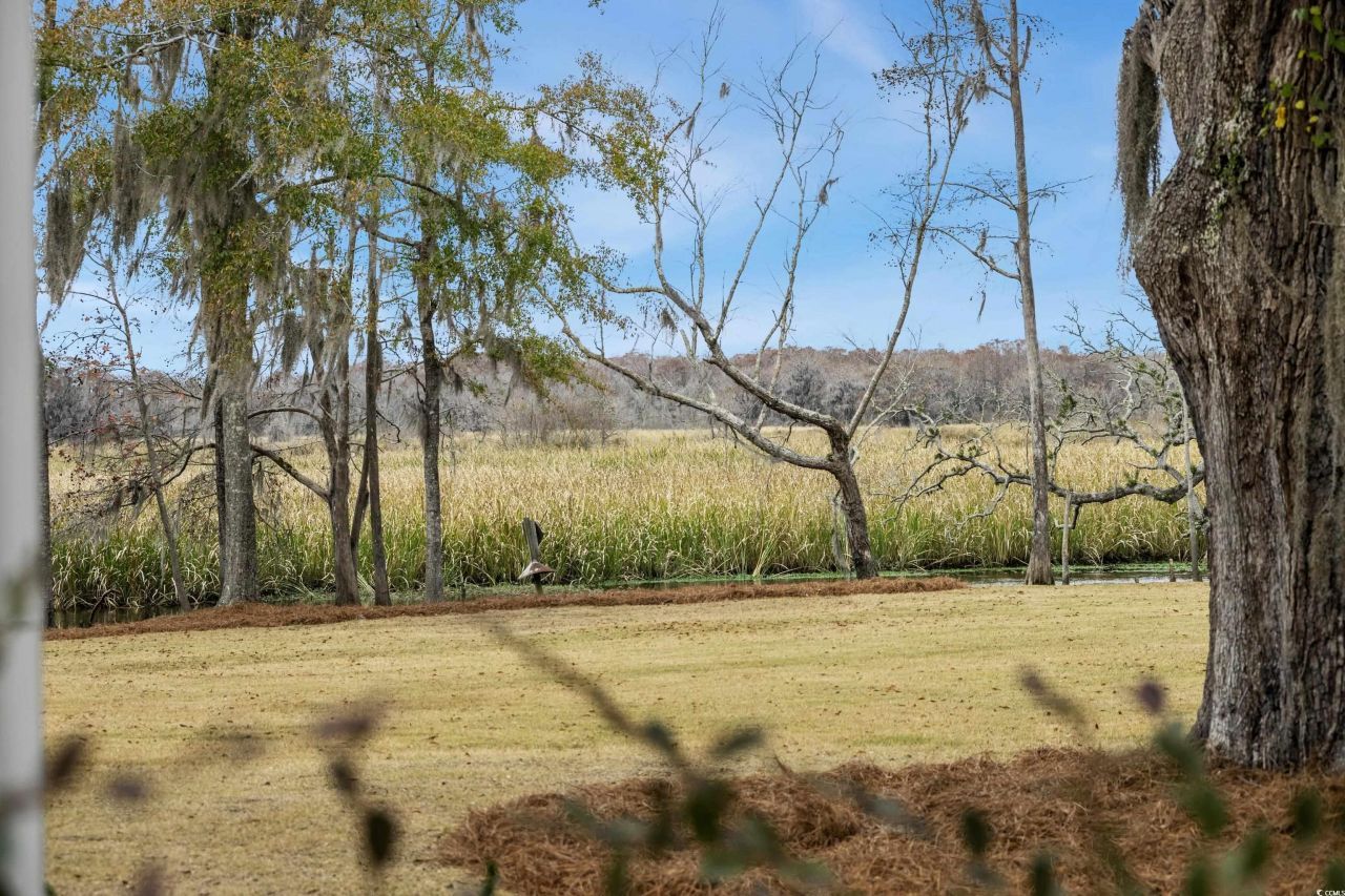 55 Cabaniss Ln. Photo 21