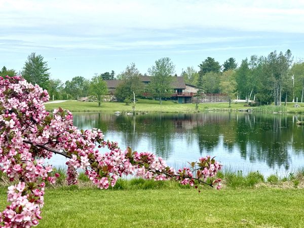 12 Morgan Road, Pembroke, ME 04666