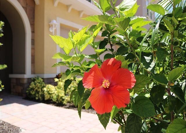 10850 Alvara Point Dr, Bonita Springs, FL 34135 Photo