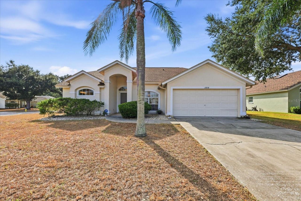 12231 Shady Forest Drive, Riverview, FL 33569 Main Photo