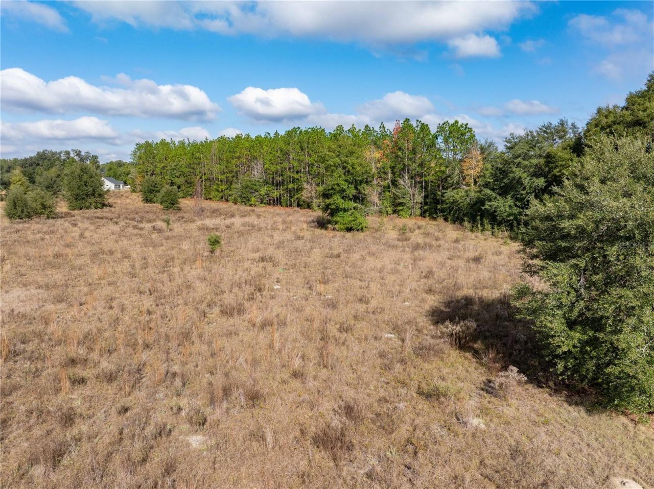 0 NW Milo Terrace, Lake City, FL 32055 Photo