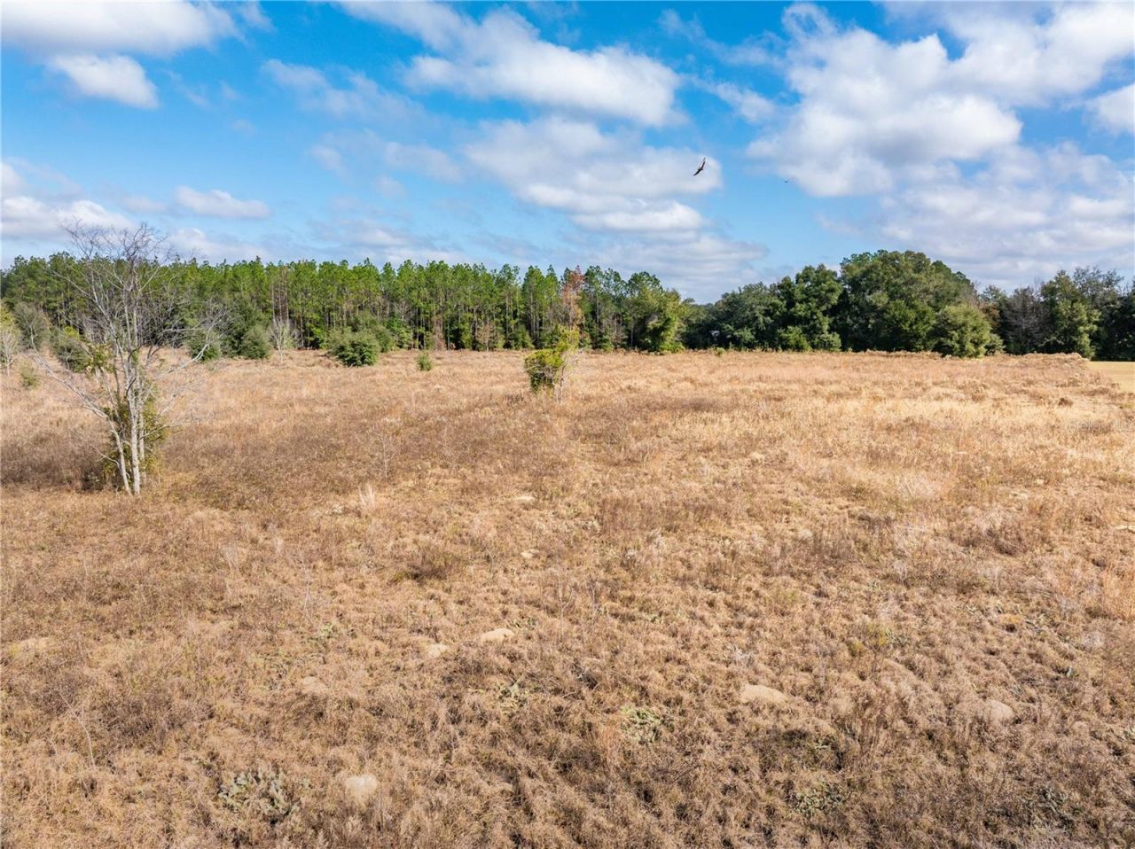 0 NW Milo Terrace, Lake City, FL 32055 Photo