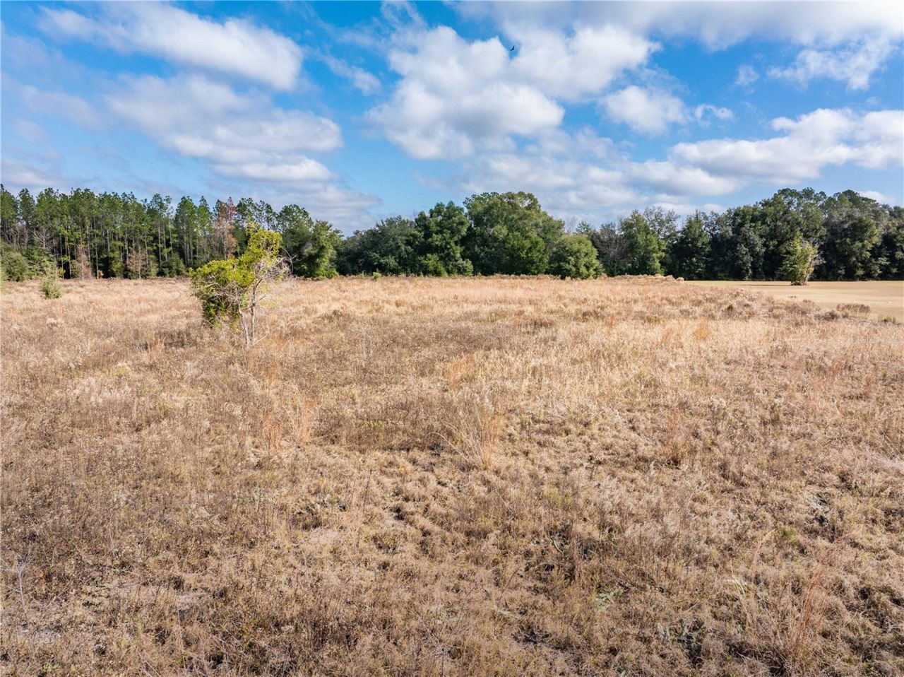 0 NW Milo Terrace, Lake City, FL 32055 Photo