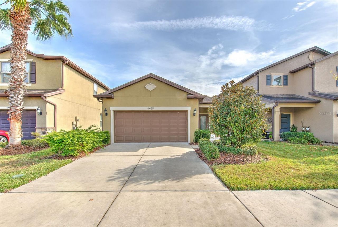 6435 Yellow Buckeye Drive, Riverview, FL 33578 Main Photo