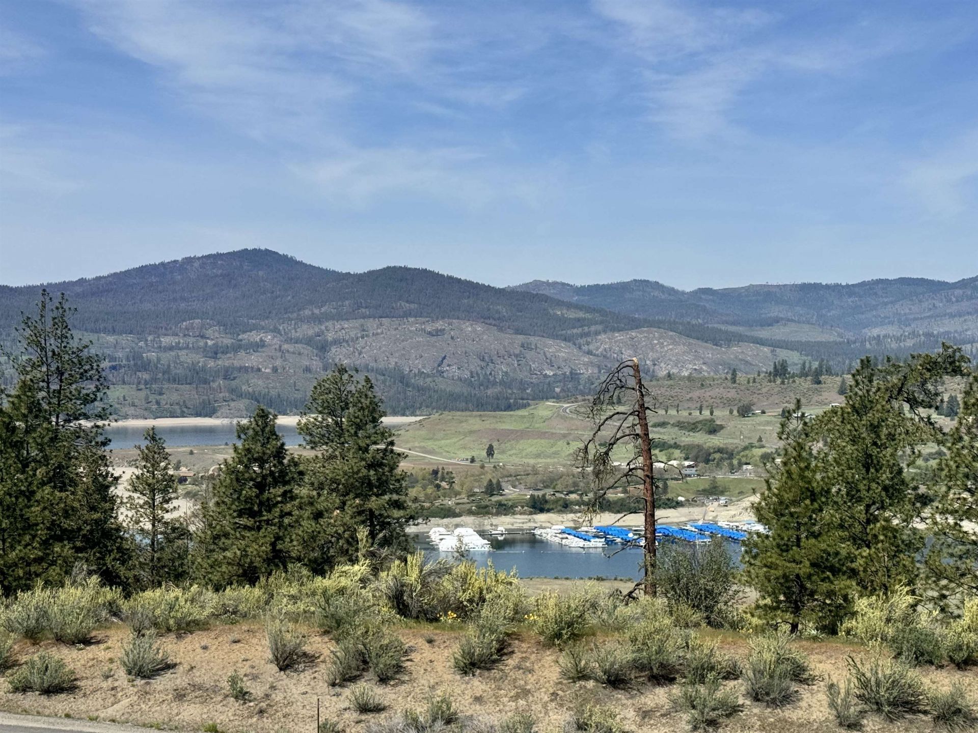 31555 E Hume Rd, Davenport, WA 99122 Main Photo