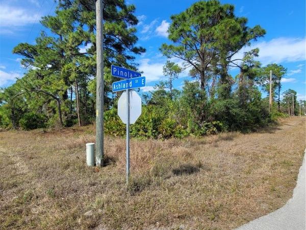 236 PINOLA AVENUE S, LEHIGH ACRES, FL 33974