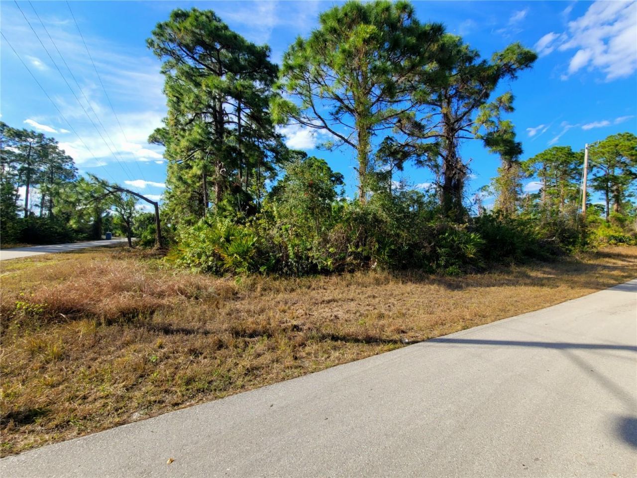 236 Pinola Avenue S, Lehigh Acres, FL 33974 Photo