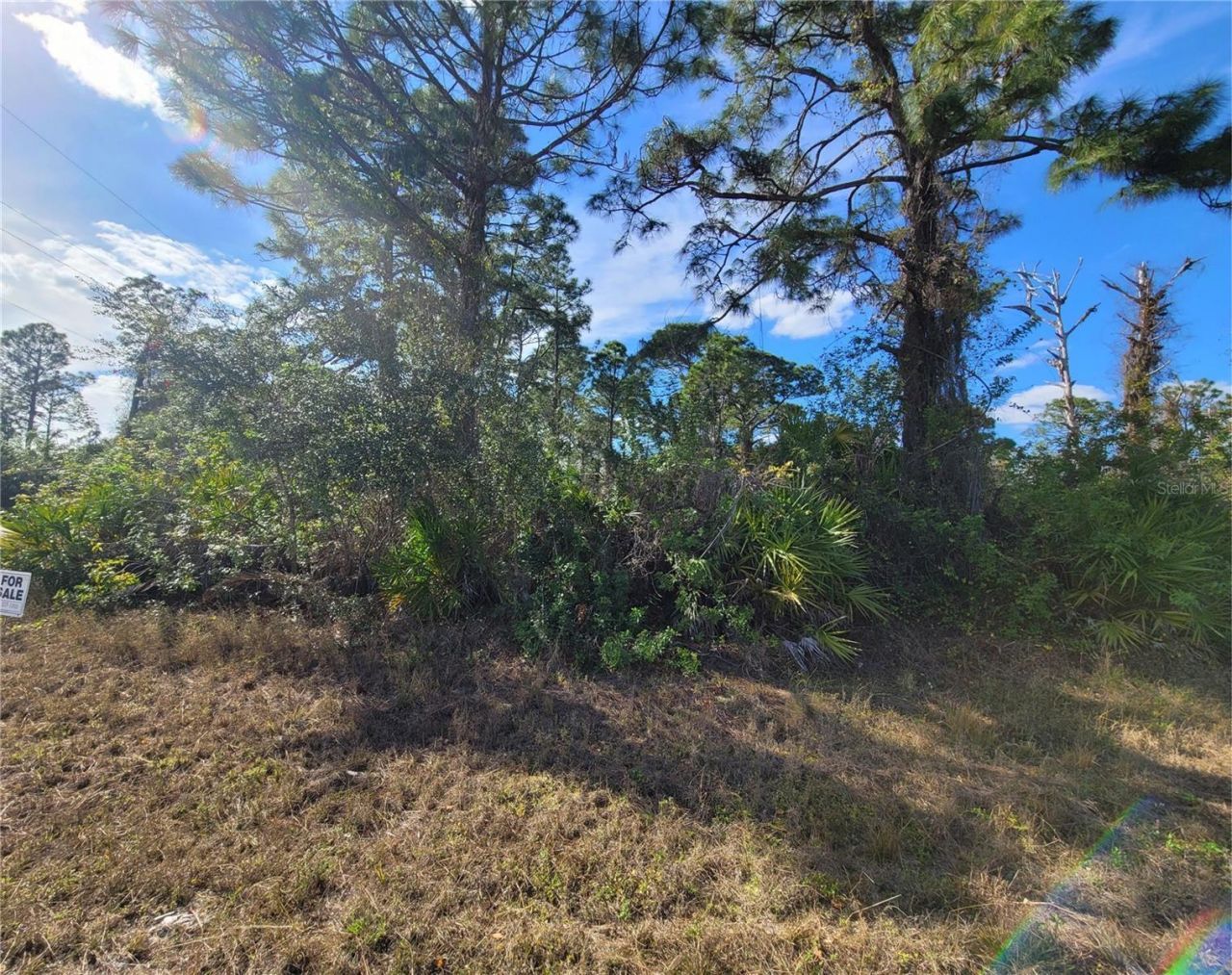 236 Pinola Avenue S, Lehigh Acres, FL 33974 Photo