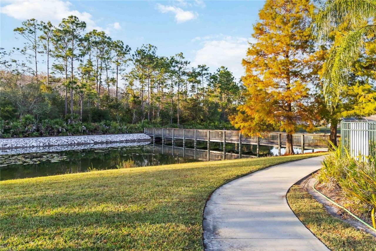 9138 Shadowbrook Trail, Orlando, FL 32825 Photo