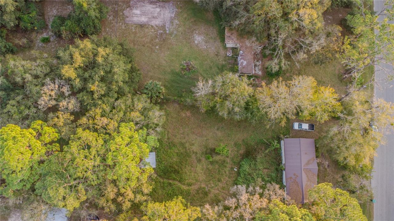 1255 Saint Nicholas Avenue, Christmas, FL 32709 Photo