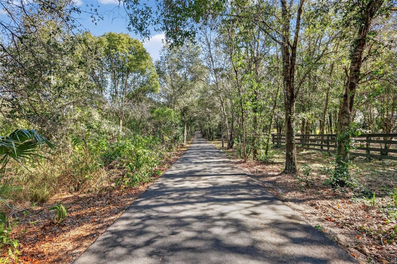 6553 Clayton Street, Mount Dora, FL 32757 Photo