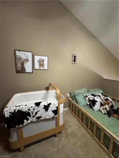 1854 Concordia Lake Cir, Unit 806, Cape Coral, FL 33909 Photo