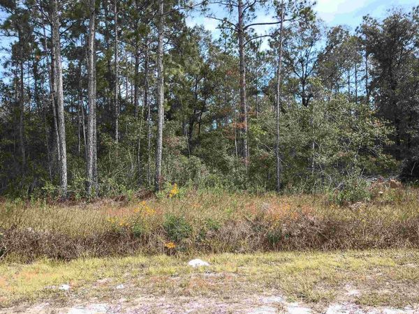 10440 Flikkema Ave, Hastings, FL 32145