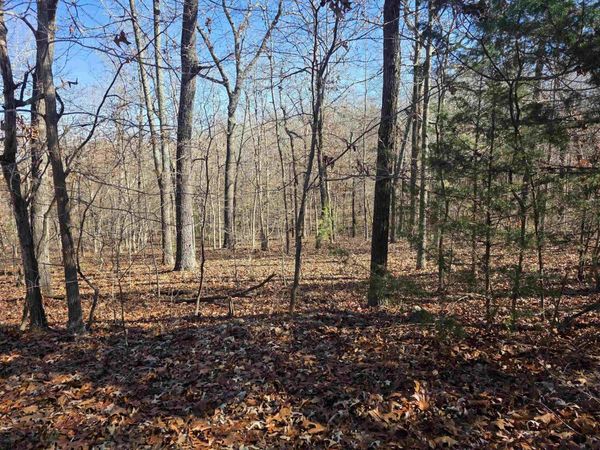 L11,B5 Wasatch Trail, Cherokee Village, AR 72529