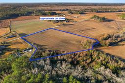 Broadwell Rd. photo 4