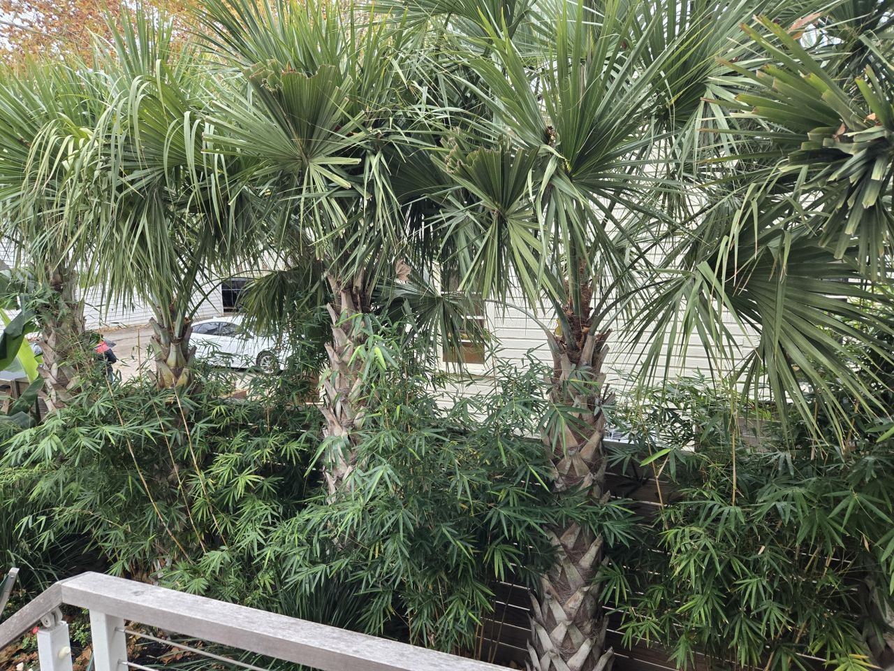 7 Carrere Court Photo 38