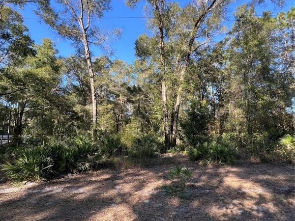 TBD SE 179TH PLACE, SUMMERFIELD, FL 34491