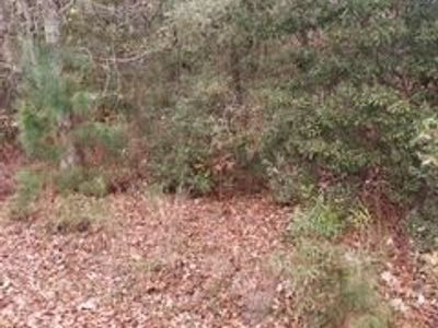 Lot 207 Prices Bridge Lane, Walterboro, SC 29488