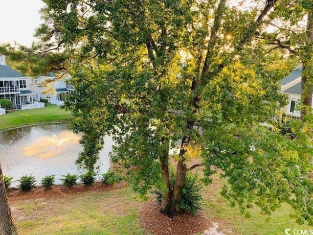 4631 Wild Iris Dr. Photo 30