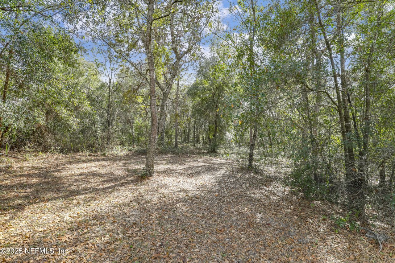 7120 Gas Line Road, Keystone Heights, FL 32656 Photo